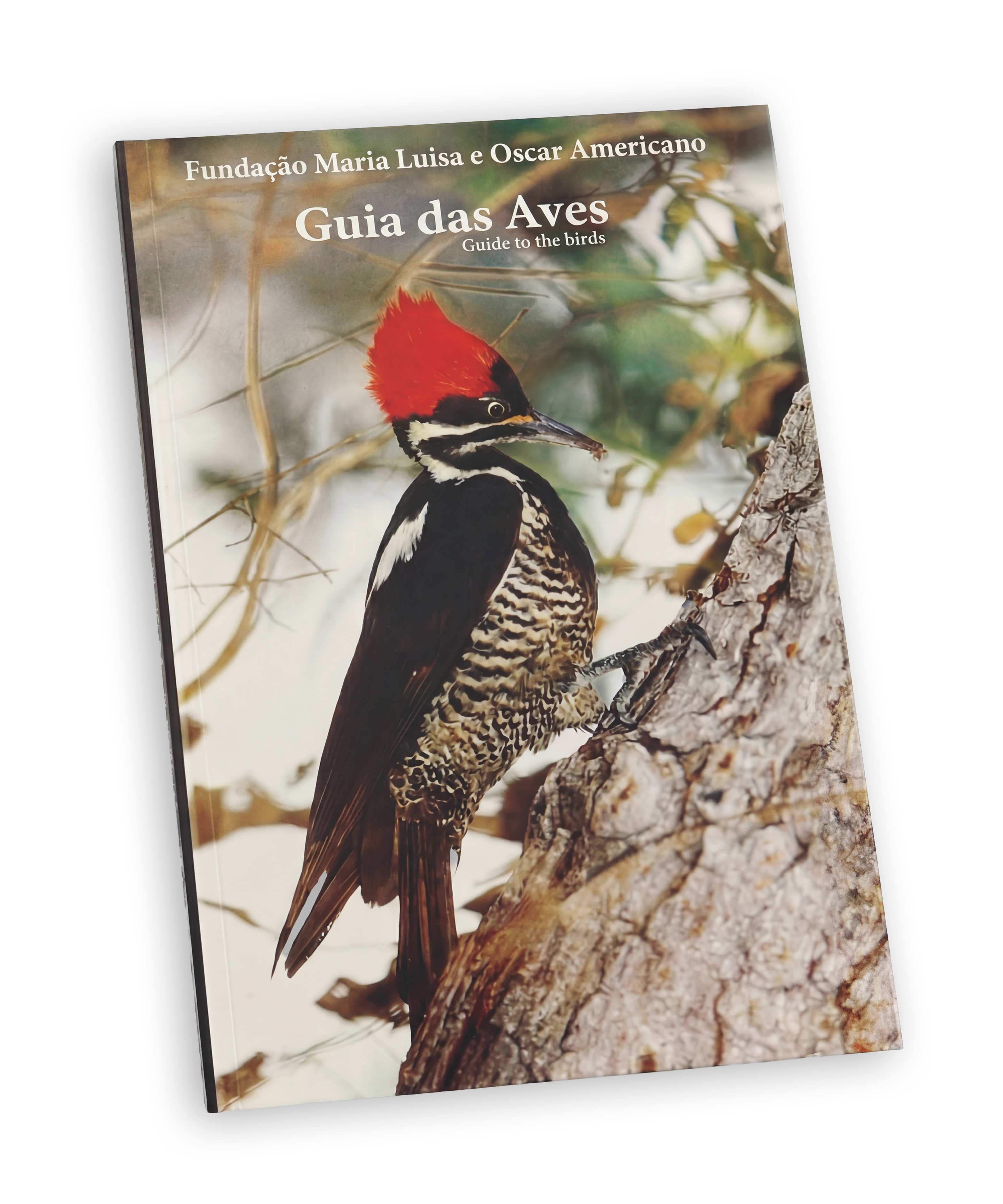 Guia das Aves – Fundação Maria Luisa e Oscar Americano